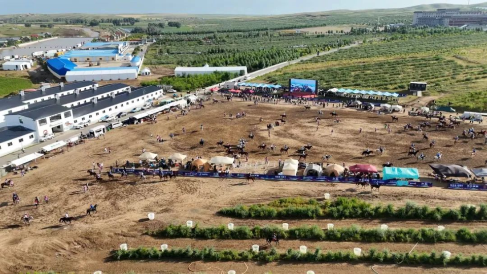 合同场竞技, OR, 力赛的最高