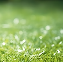 服务时间, 志愿者要求