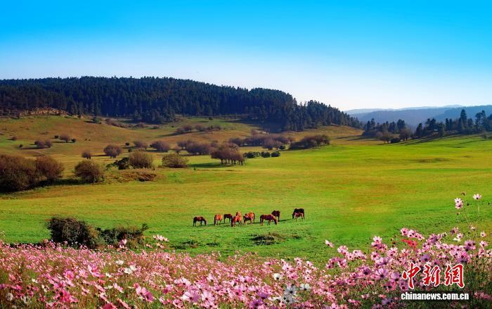 img, 隆举行, 的高水平户